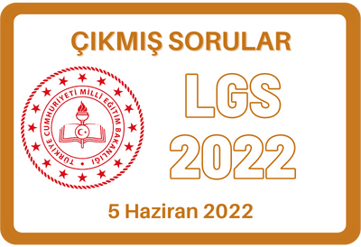 LGS 2022 (Çıkmış Sorular)